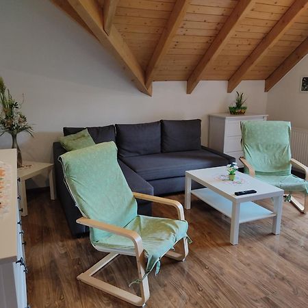 Gemuetliche Ferienwohnung Im Schoenen Erzgebirge - Wohnung Fruehling Eibenstock Extérieur photo