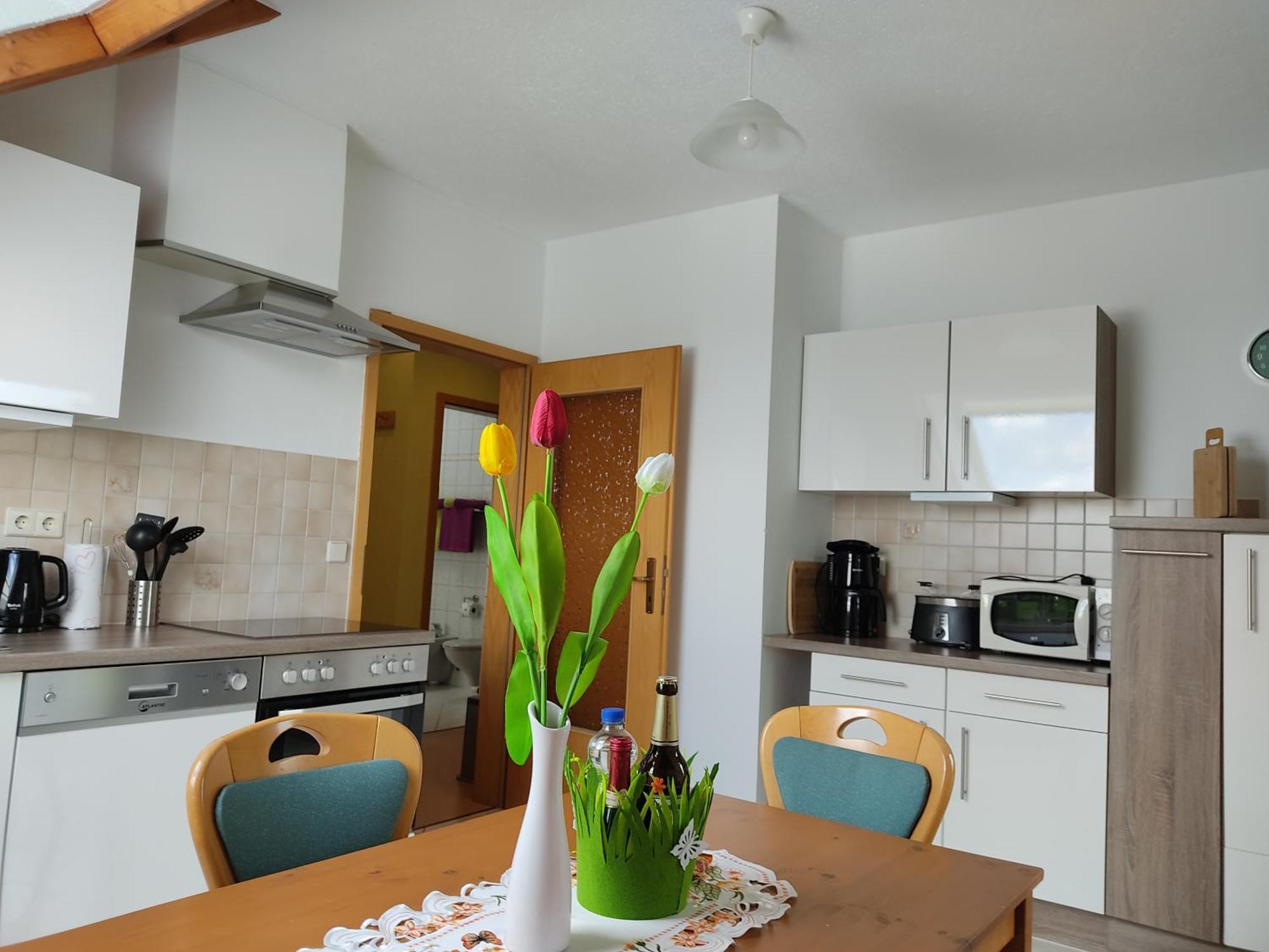 Gemuetliche Ferienwohnung Im Schoenen Erzgebirge - Wohnung Fruehling Eibenstock Extérieur photo